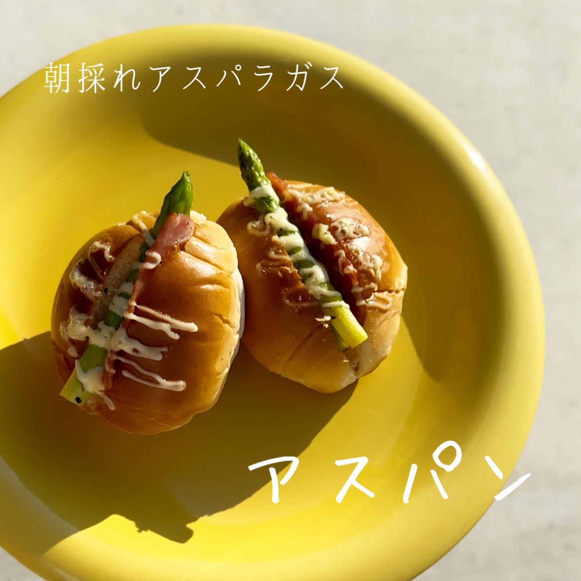 いわいのわ×職人たちの宝島 2023