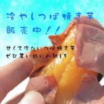 いわいのわ×職人たちの宝島 2023