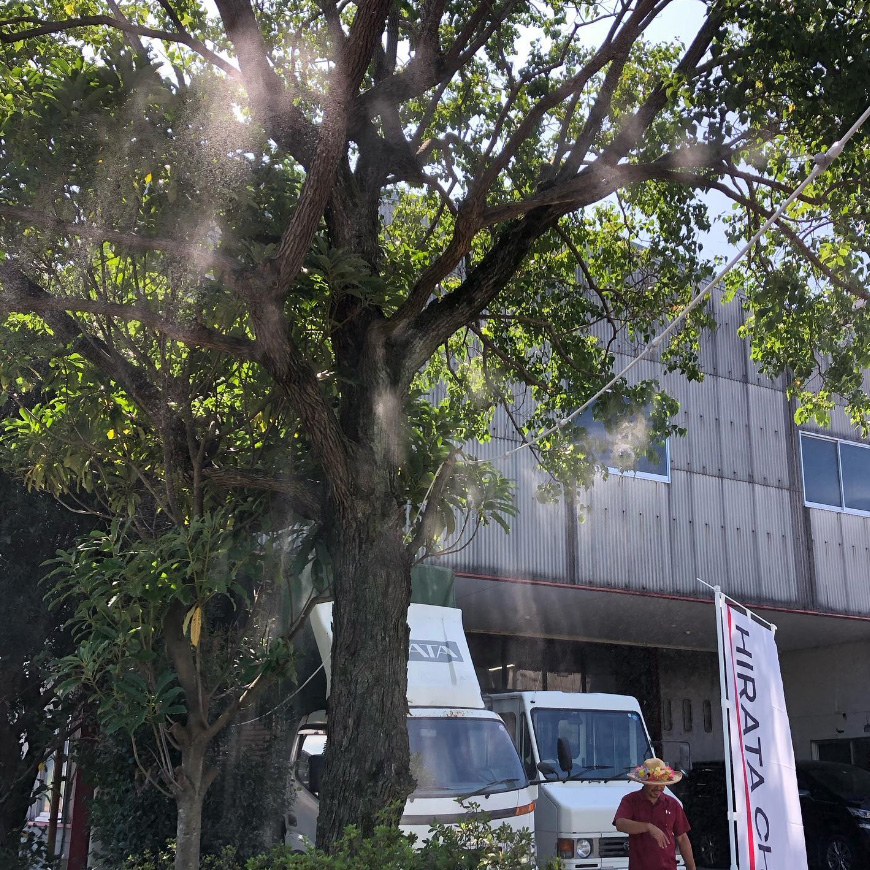 いわいのわ×職人たちの宝島 2023